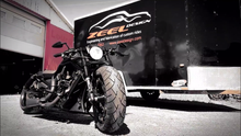 V-Rod air box cover