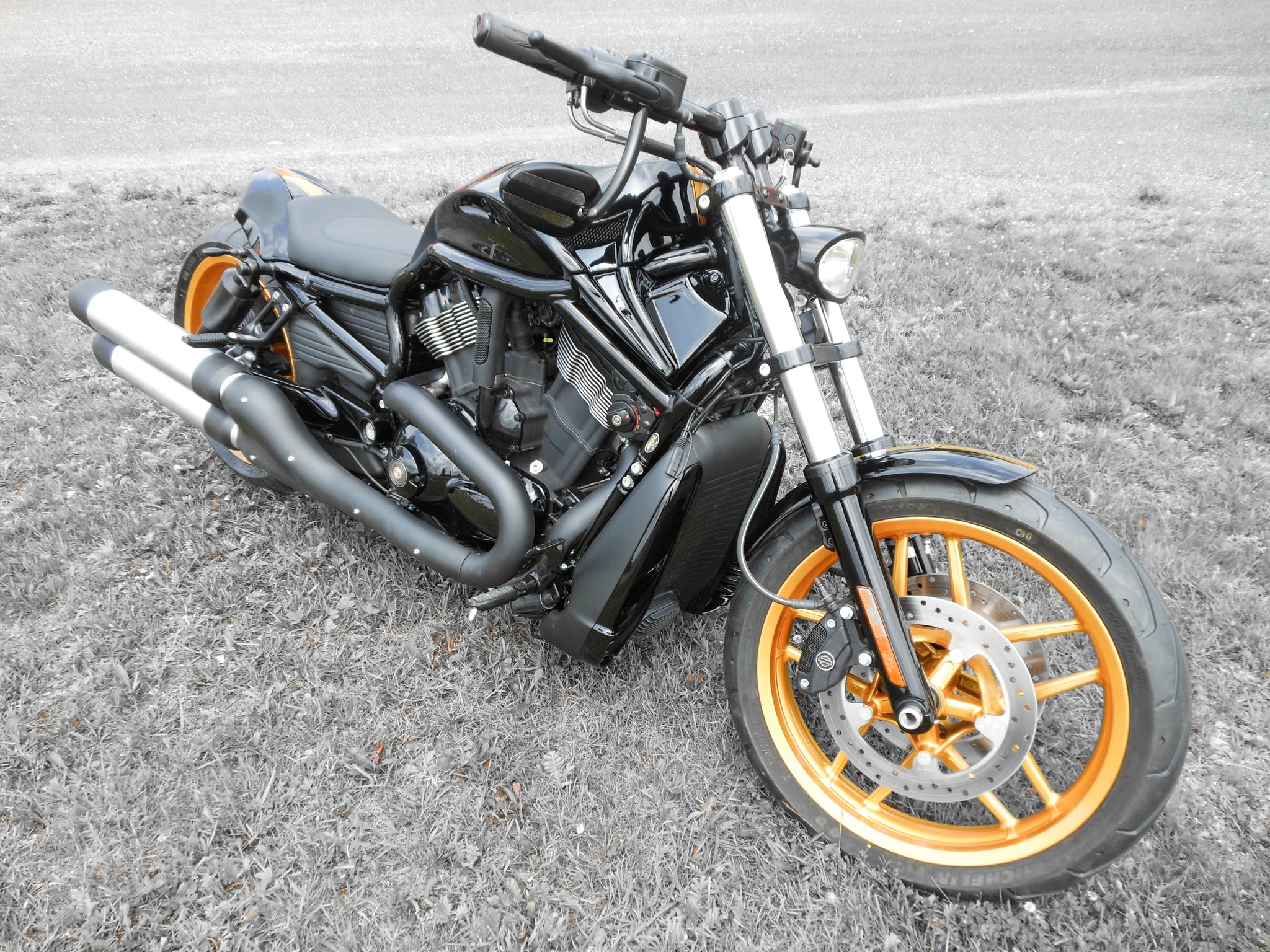 V-ROD, GOLD WHEELS – ZEEL DESIGN