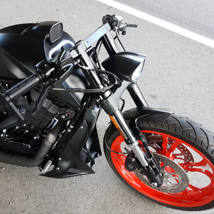 v-rod rad cover
