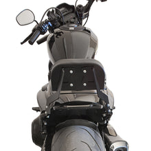 fxdr passenger backrest
