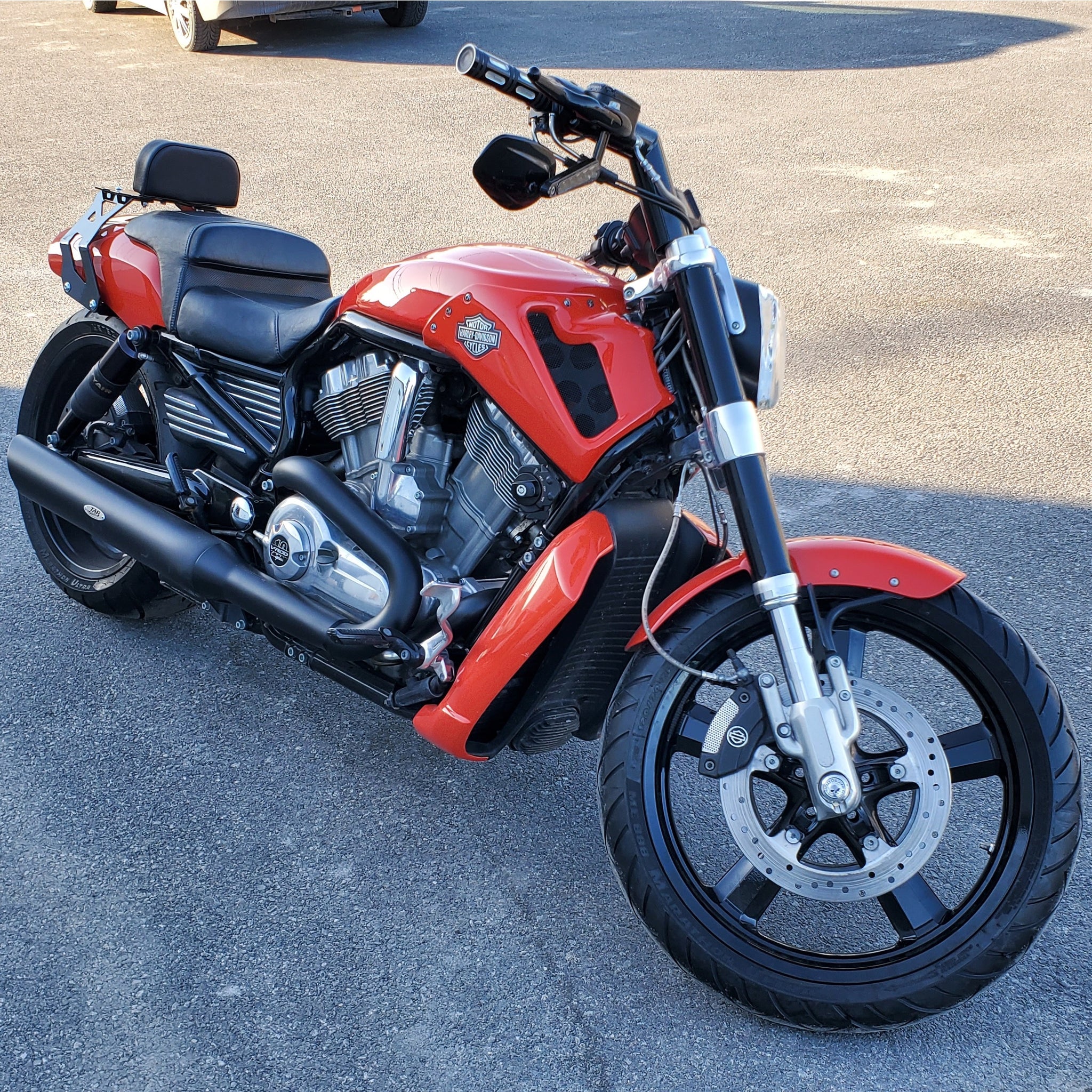V rod muscle 2025 sissy bar
