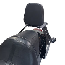 luggage rack night rod special