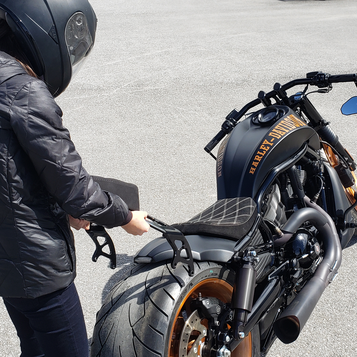 V rod 2025 leather jacket