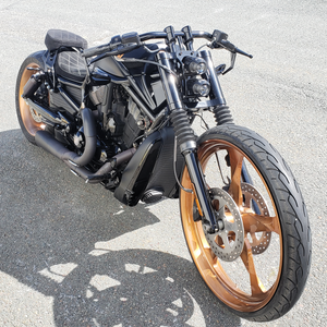 V-ROD PASSENGER SEAT