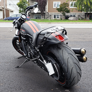 v-rod passenger backrest