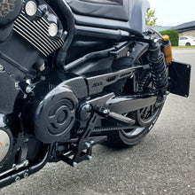 belt guard v-rod